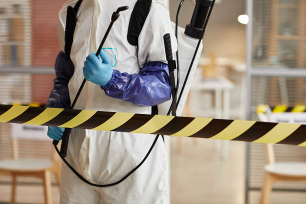 Professional Hoarding Cleanup technician working in Comstock, NE